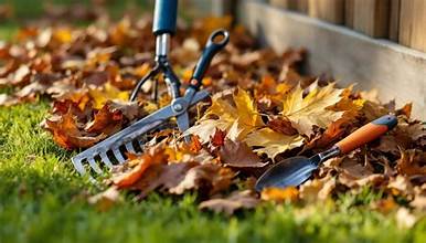 Yard cleanup and debris removal service in Huntersville NC by Home Grooming LLC