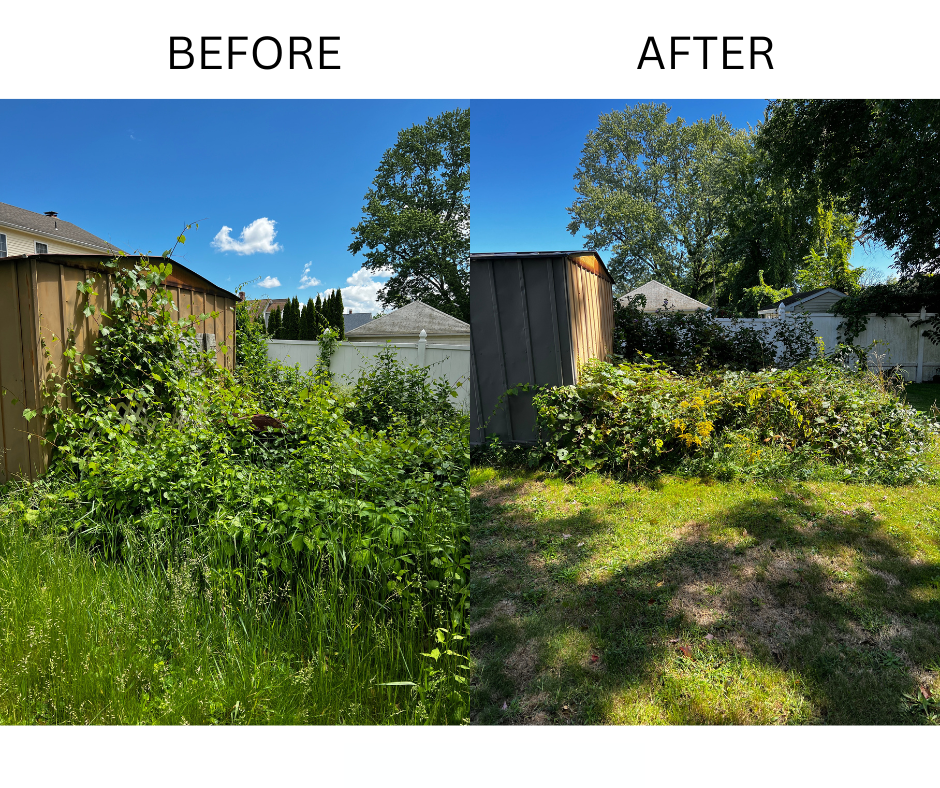 Professional lawn fertilization service in Huntersville NC by Home Grooming LLC