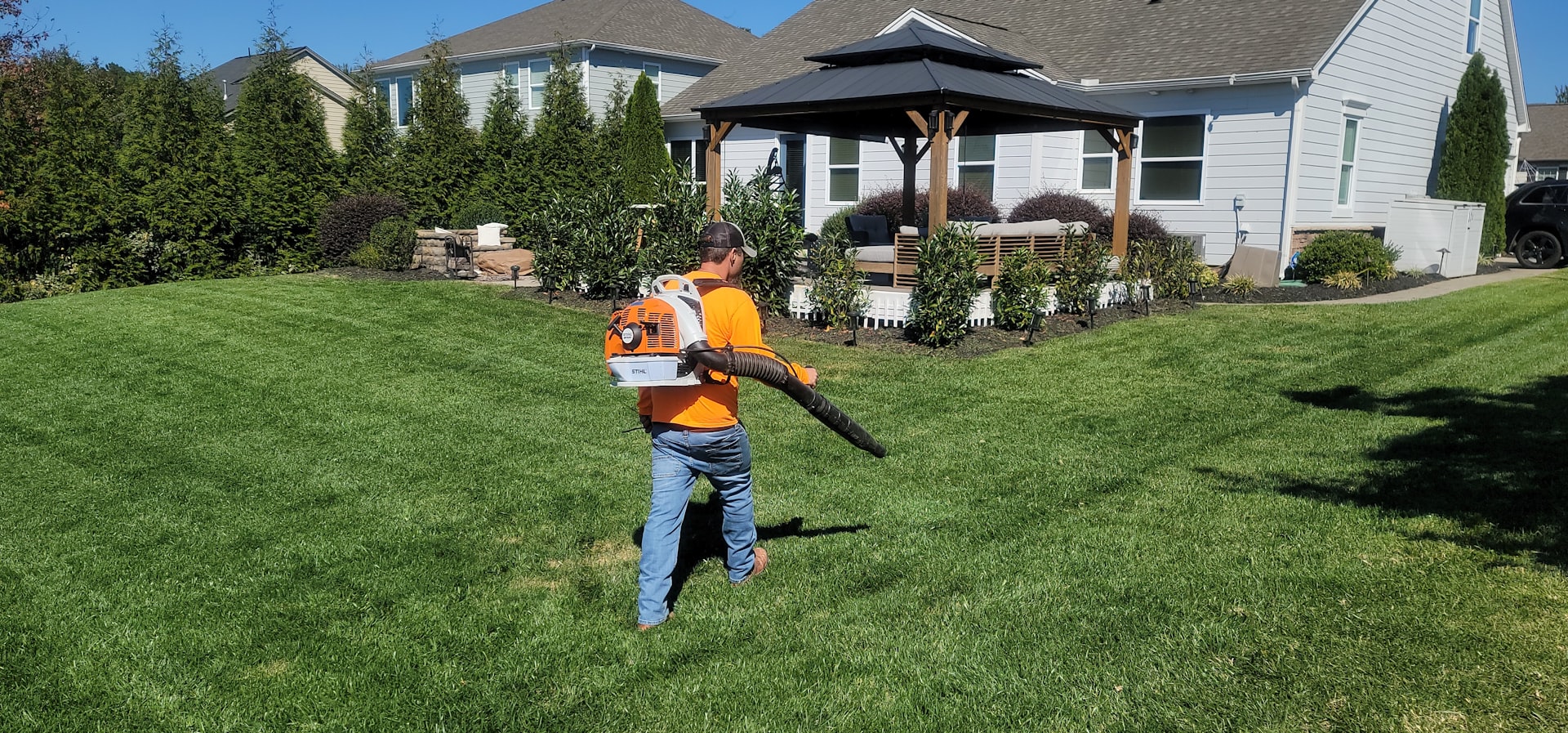 Shrub trimming and hedge pruning service in Huntersville NC