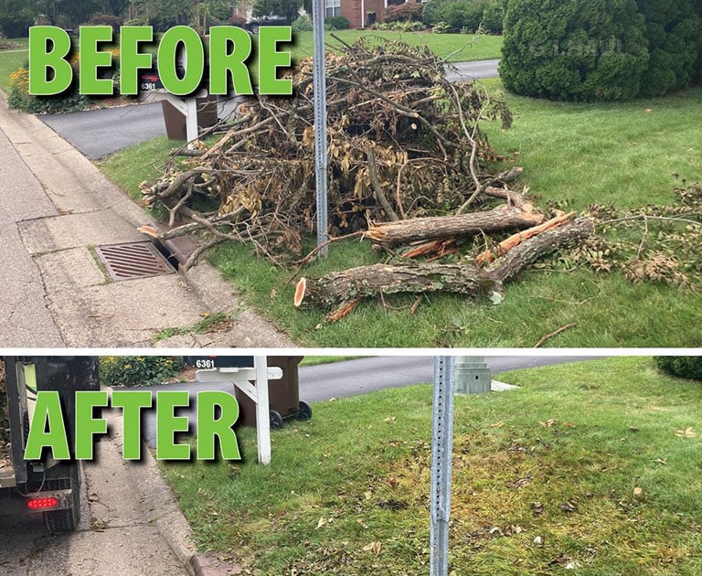Fall leaf removal service in Huntersville NC by Home Grooming LLC
