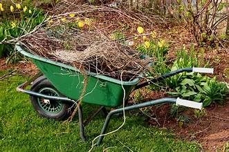 Spring and fall seasonal yard cleanup in Huntersville NC by Home Grooming