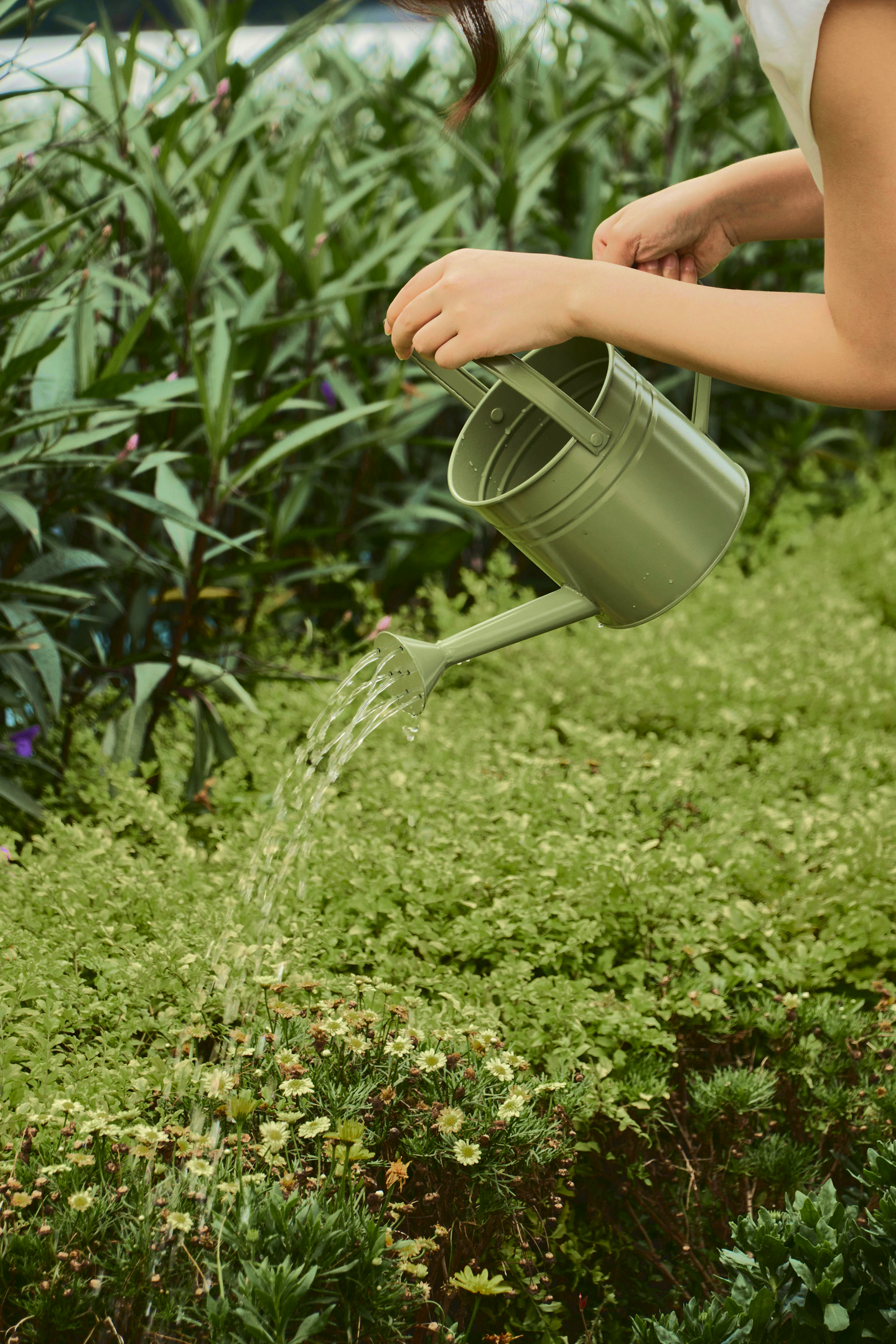 Professional landscaping services in Huntersville NC by Home Grooming LLC