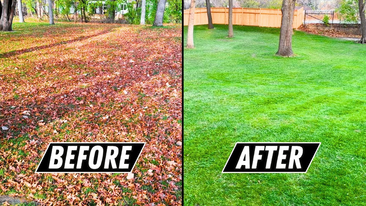 Before and after lawn fertilization treatment in Huntersville NC