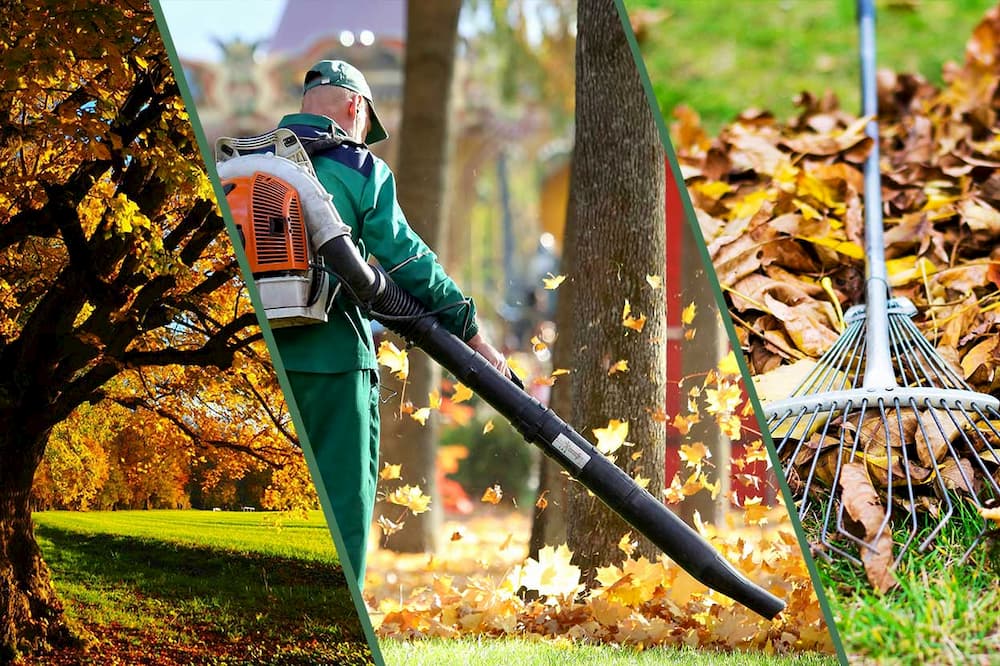Clean cut residential lawn care service near Lake Norman NC by Home Grooming LLC