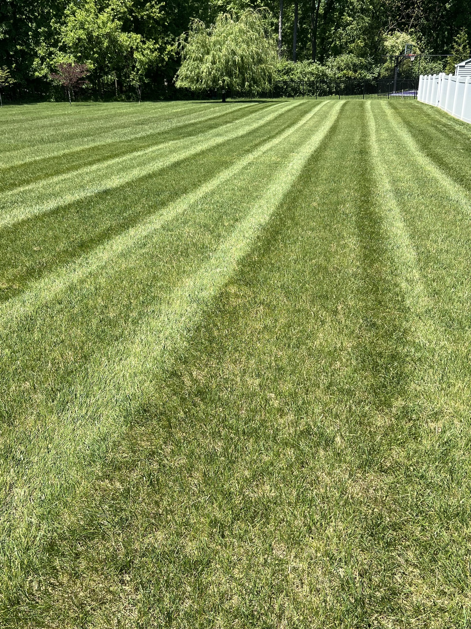 Professional lawn mowing service by Home Grooming LLC in Huntersville NC