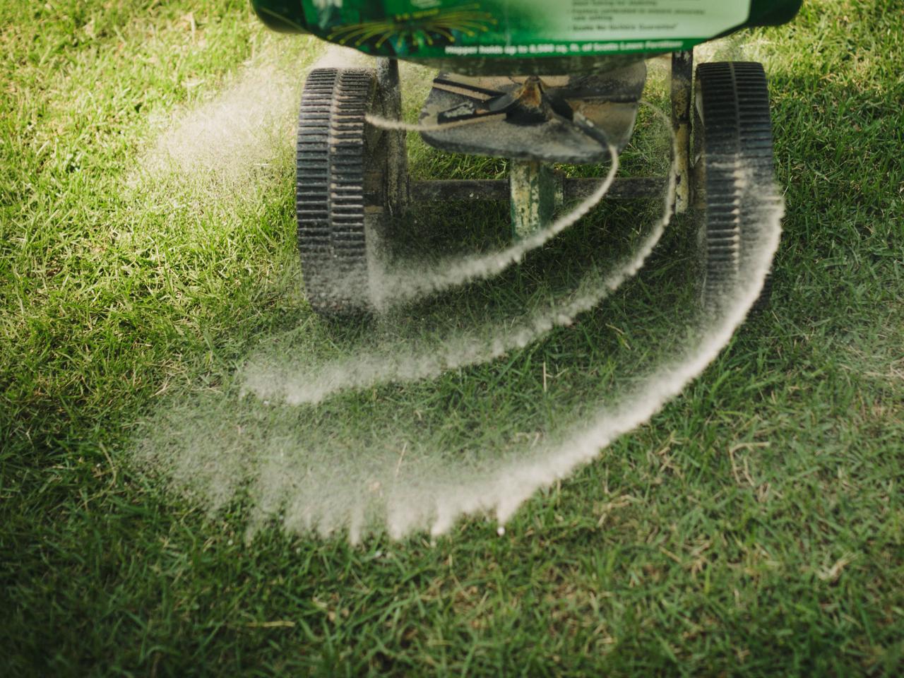 Healthy green lawn after fertilization and weed control service in Huntersville NC